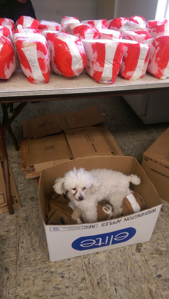 Even the Abner DeGroat was there for support.