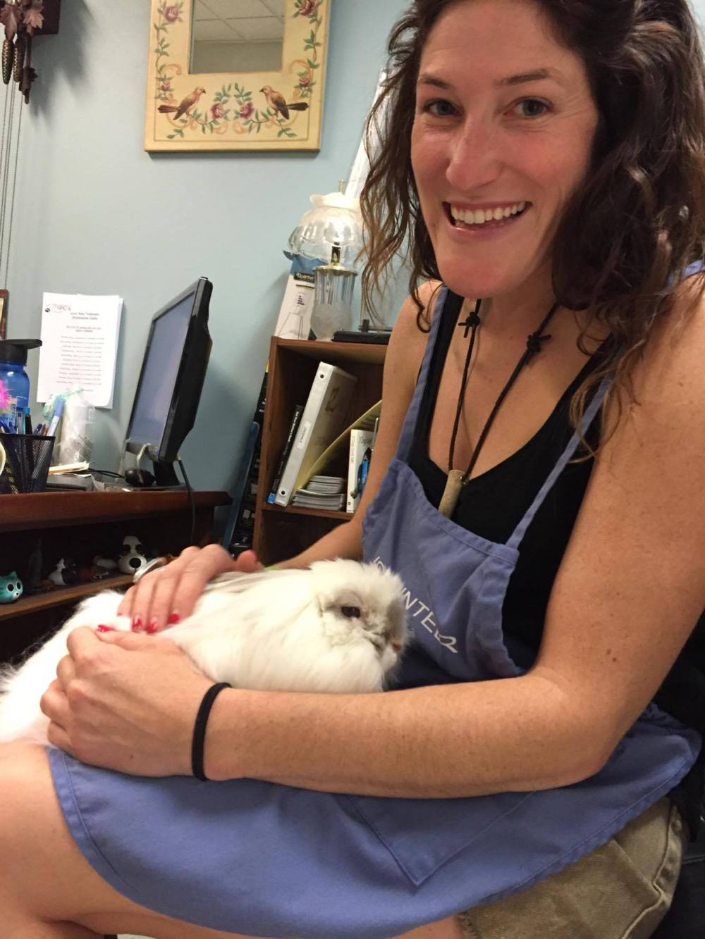 15152852_1186703791366572_232435156_o